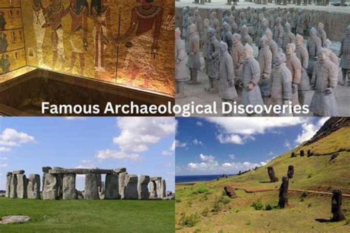 Discoveries And Insights From The Wikipedia