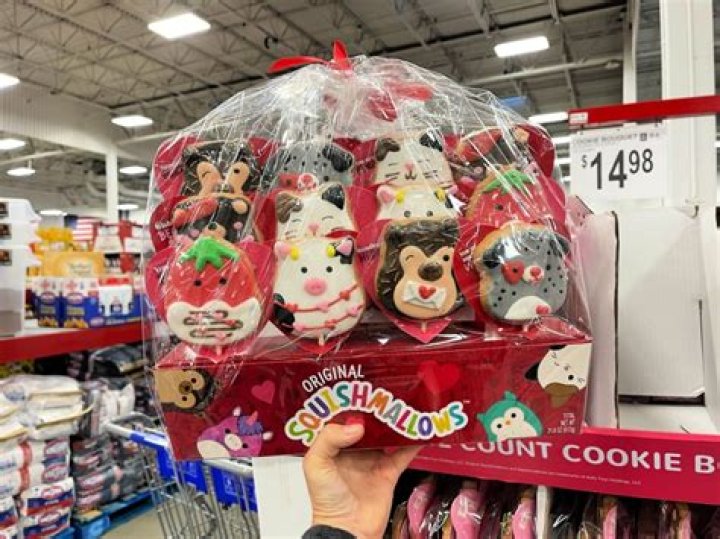 Uncover The Sweetest Delight: Squishmallows Cookie Bouquets