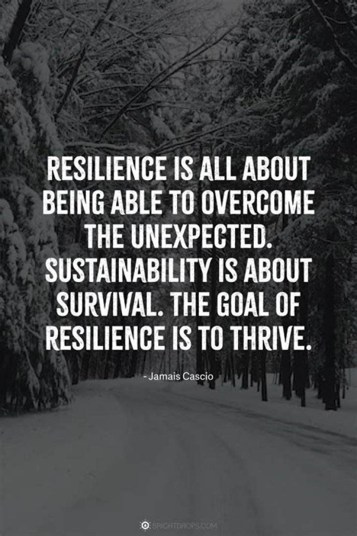 Uncovering Courage, Empathy, And Resilience