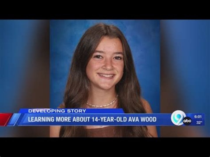 Unraveling The Ava Wood Crime Scene: Discoveries And Insights Revealed
